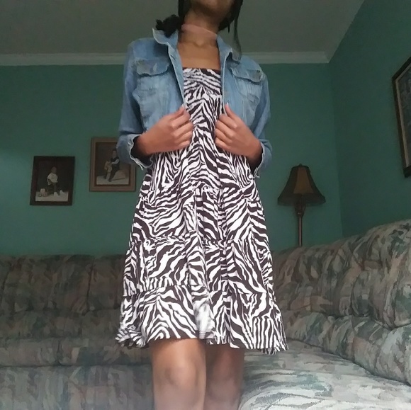 Strapless Chesley Zebra Print Dress - Picture 4 of 5